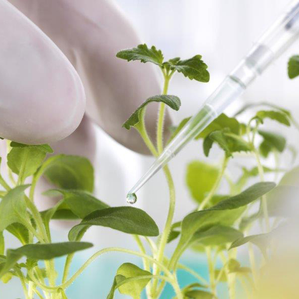 Labor Fotolia 90501509 M