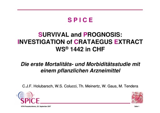 Prof  Holubarsch Folien