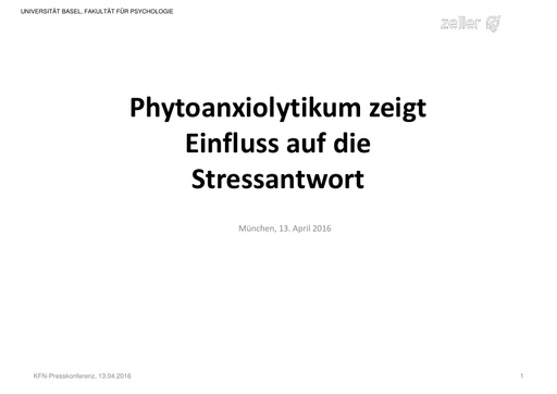 Prof  Dr  Jens Gaab Präsentation