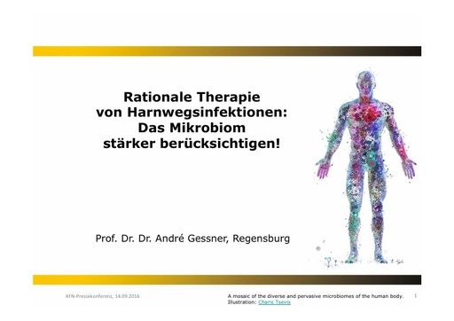 4_Präsentation Prof. Dr. Dr. Gessner_KFN-PK 14.09.2016