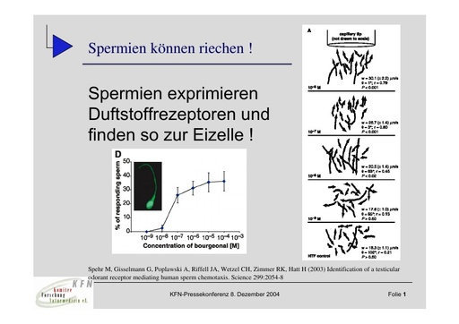 Prof  Hummel Folien Dez  2004
