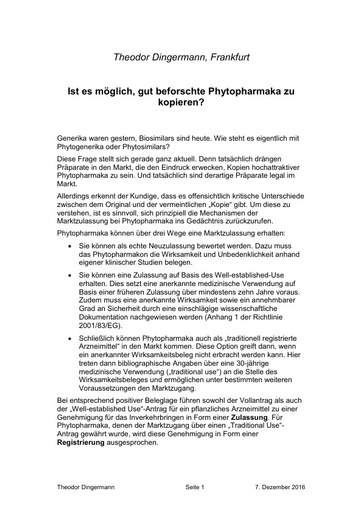 6 Statement Dingermann 3 Seiten