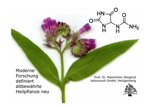 Prof Weigend Präsentation